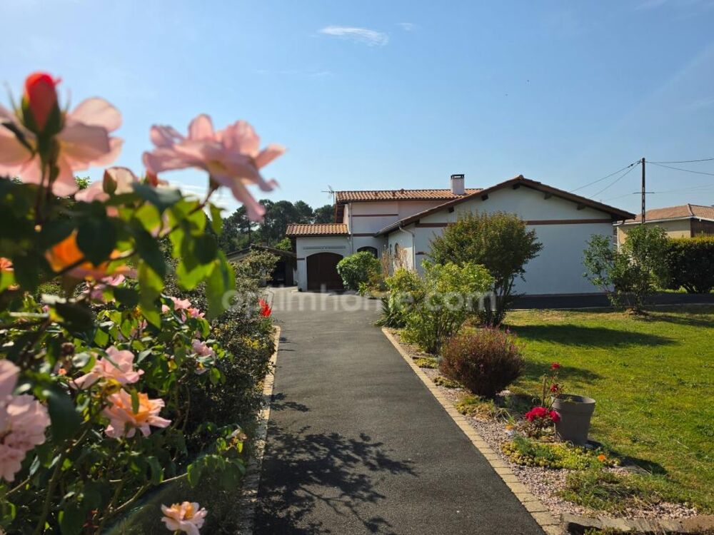Vente Maison Maison 144 m² – 4 chambres – terrain 1 970 m² avec piscine – Salles 33770 Salles