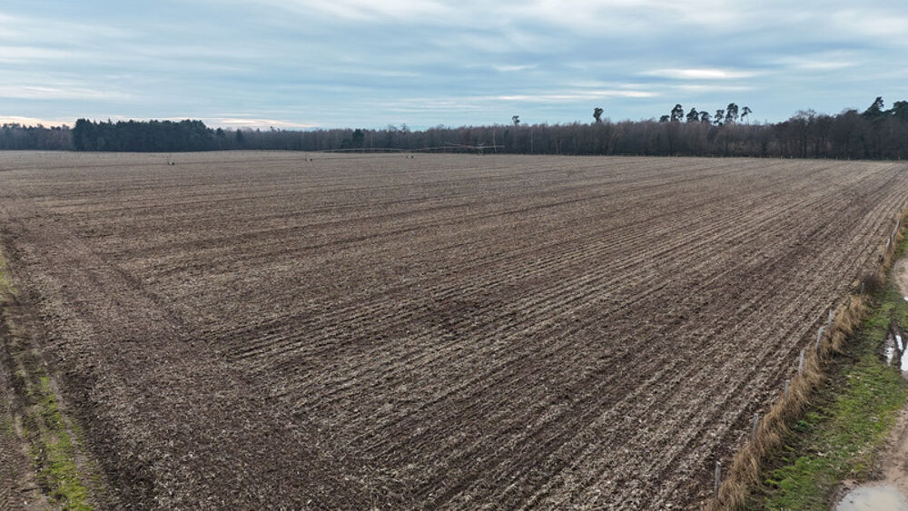 � vendre  Maison Strasbourg (67000)