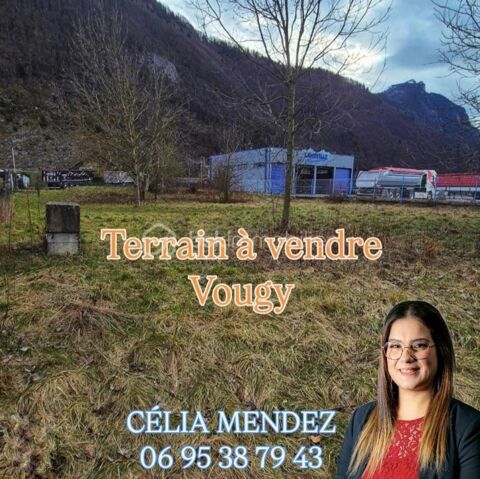 Terrain commercial et habitable 219000 74130 Vougy
