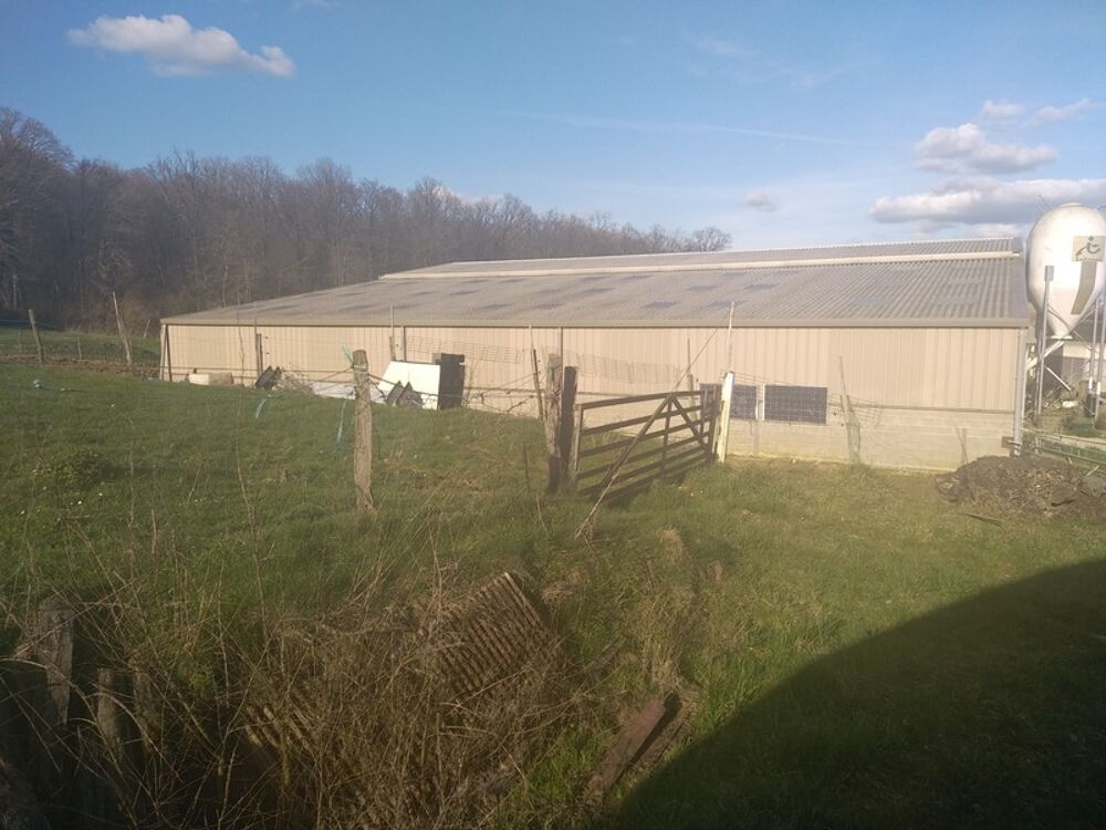 Vente Autre Hangar agricole de 600 m2 sur 2.4 ha Fouvent saint andoche