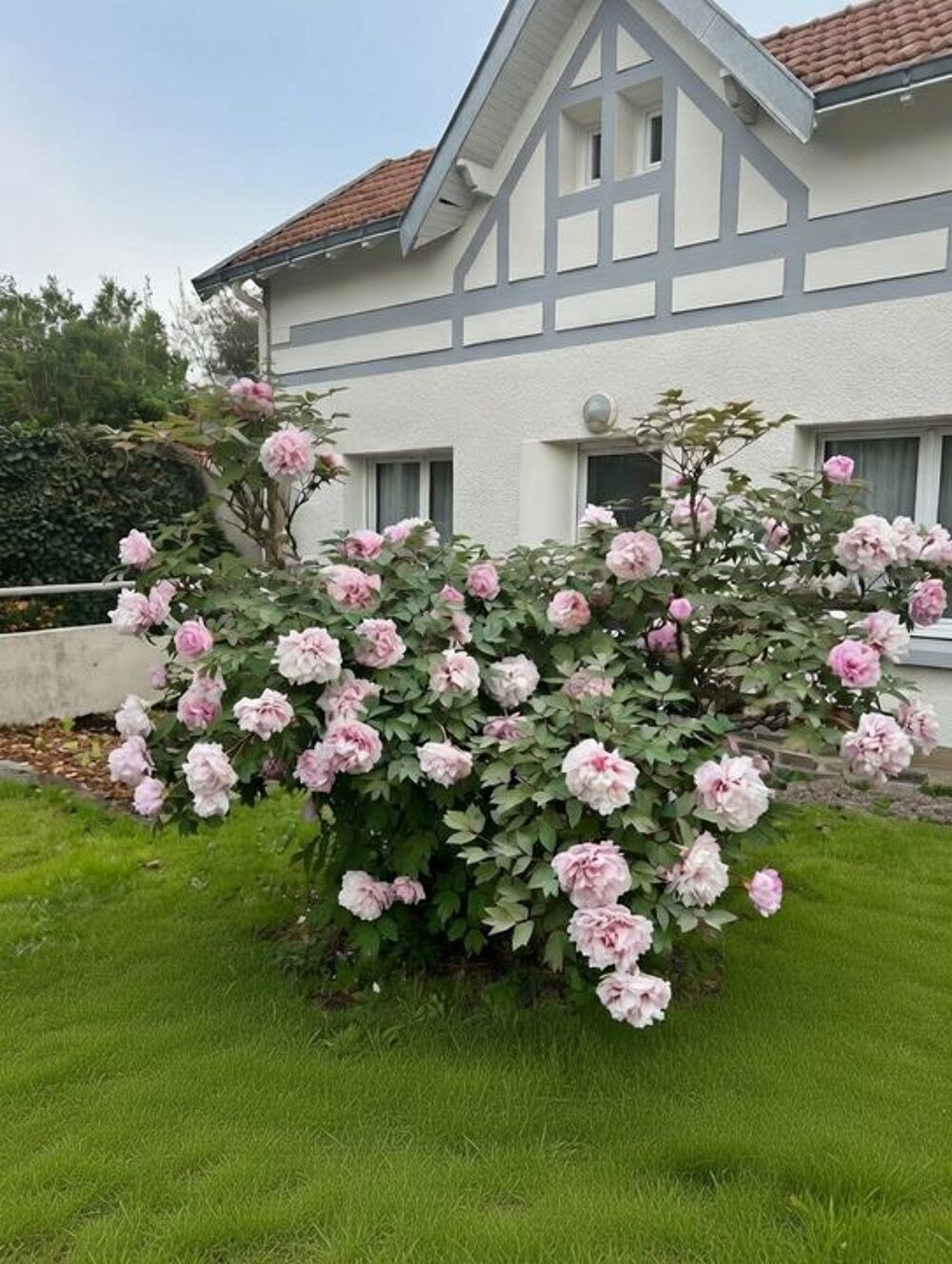 Location Maison Maison de 130m2 à louer sur Rezé Reze