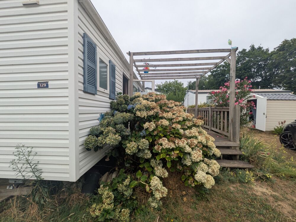 Vente Maison AMBON MOBIL-HOME DE 26m² ENVIRON 2 CHAMBRES AVEC TERRASSE BOIS SUR L'EXTÉRIEUR ET ABRIS DE JARDIN PARCELLE DE 200m² ENVIRON Ambon