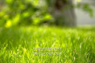  Terrain � vendre 2100 m�