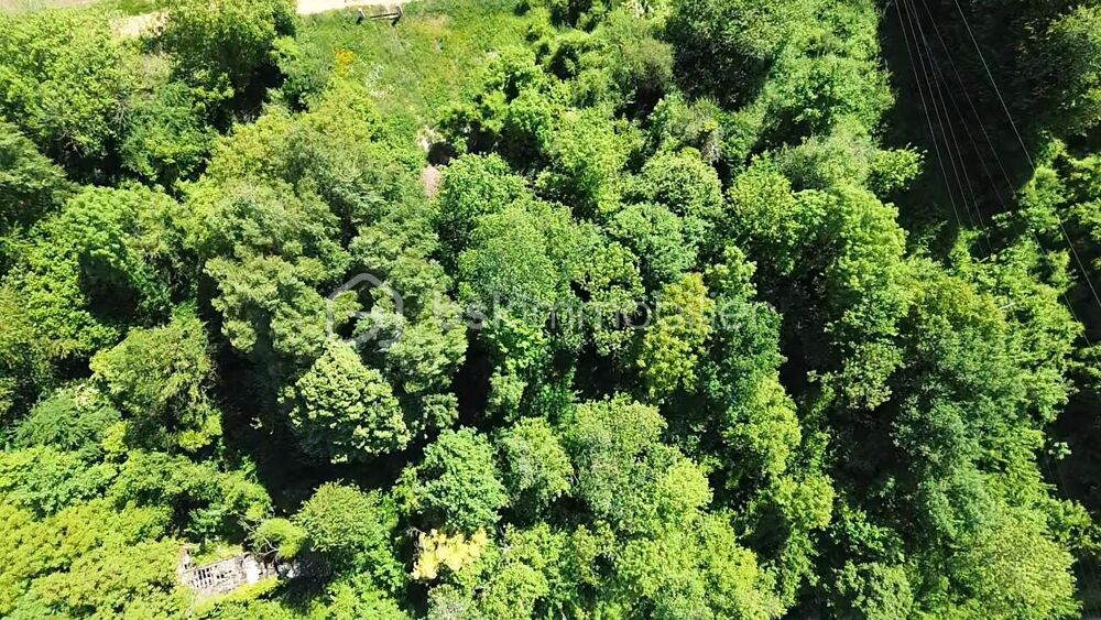 Vente Terrain Terrain de loisir 5 625 m² Sedan