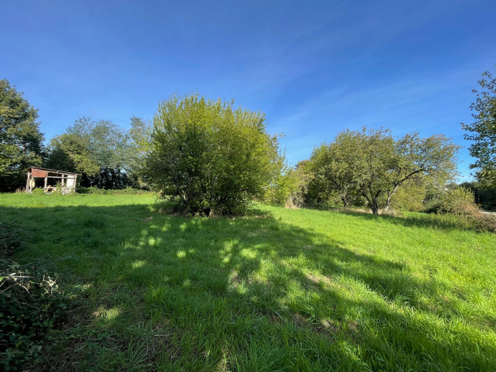 Maison de caracrtere avec Grand Terrain  CERCY-LA-TOUR (NIÈVRE)