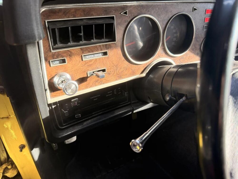 Mustang II COBRA 2 FASTBACK V8 5.0L BOITE AUTOMATIQUE UNIQUE Ford 1975 occasion 73000 Chambery