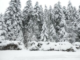  Chalet � vendre 7 pi�ces 160 m�