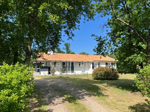   Maison contemporaine 5 pi�ces de 125 m� avec jardin arbor� clos - Lagorce (33) Maison - 5 pi�ce(s) - 125 m�