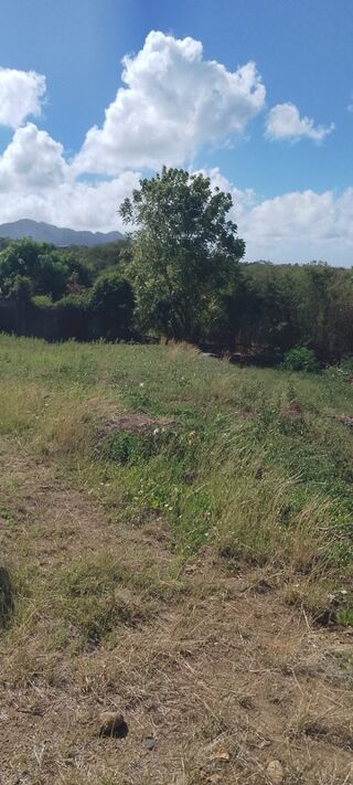  Terrain � vendre 1095 m�