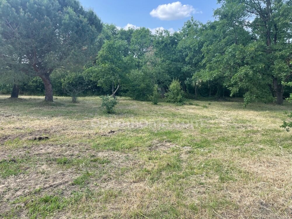 Vente Terrain TERRAIN 901 M² Montaigut sur save