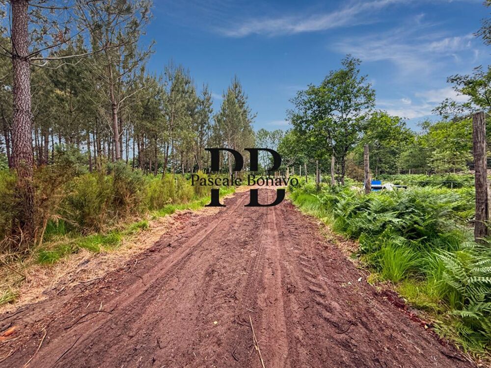 Vente Terrain VENDAYS MONTALIVET - Terrain 2327m2 avec Hangar agricole Vendays montalivet