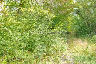  Terrain � vendre 9702 m�