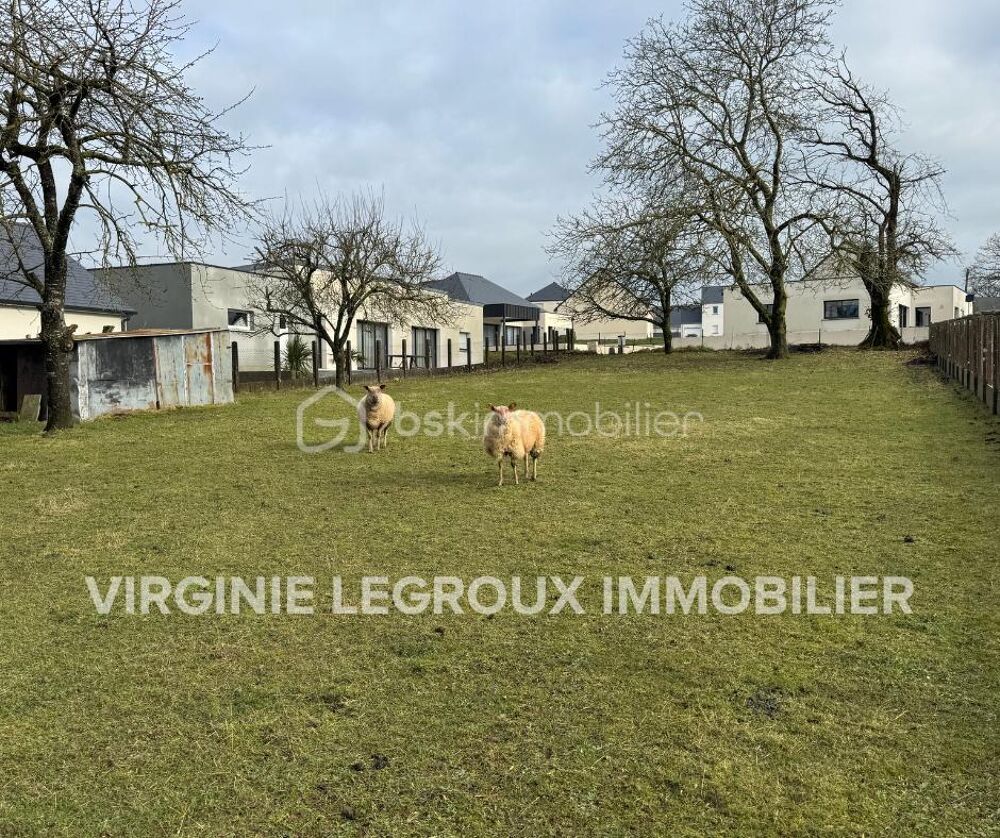 Vente Terrain Terrain constructible viabilisé de 1049m2 Saint pierre la cour