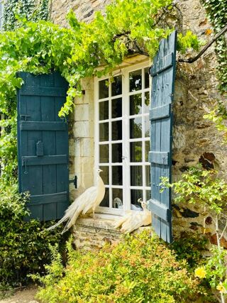  Propri�t�/ch�teau � vendre 12 pi�ces 347 m�