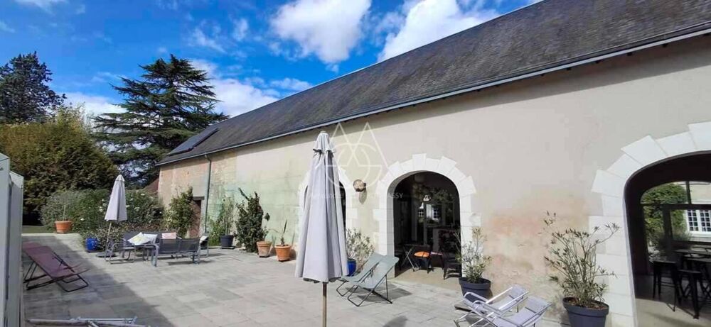 à vendre  Propriété/château Vernou-sur-Brenne (37210)