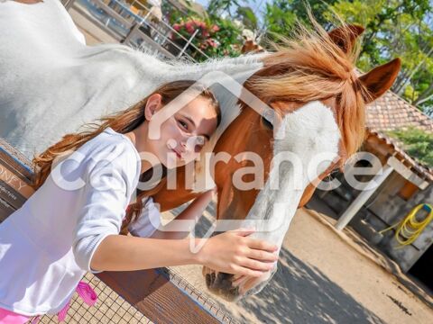 Bouches-du-Rh&ocirc;ne (13) SAINTES MARIES DE LA MER (13460) &agrave; vendre fonds de commerce de Promenade &agrave; Cheval 10 000 m 2 499900 13460 Saintes maries de la mer