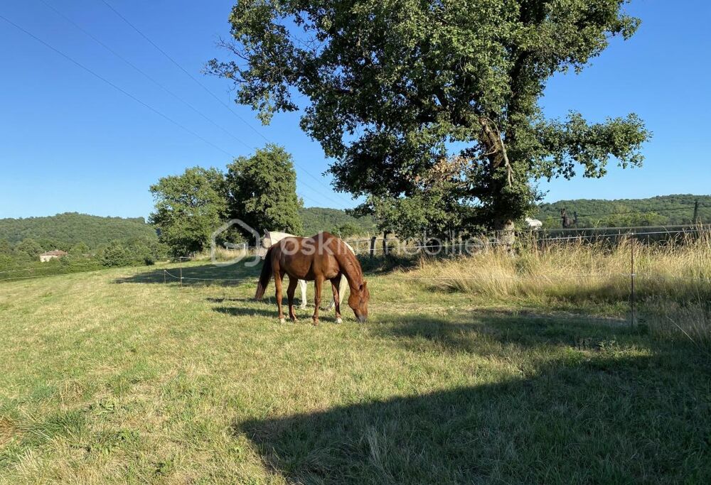 à vendre  Propriété/château Toulouse (31000)