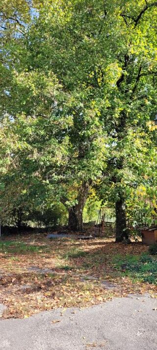  Ferme � vendre 6 pi�ces 200 m�