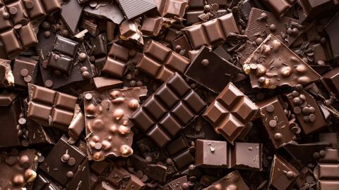 Dpt Charente (16), à vendre proche de COGNAC Chocolaterie 132000 16100 Cognac