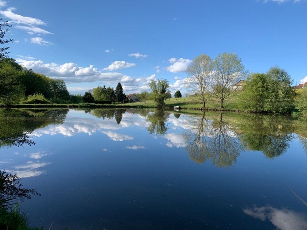 Vente Terrain Etang de pêche sur terrain de plus de 2 hectares Lanouaille