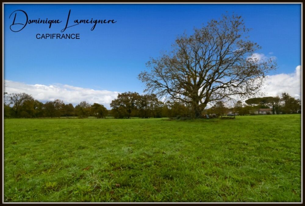 Vente Terrain PROCHE PEYREHORADE - TERRAIN A BATIR 2153 m2 - LIBRE BATISSEUR - HORS LOTISSEMENT Peyrehorade
