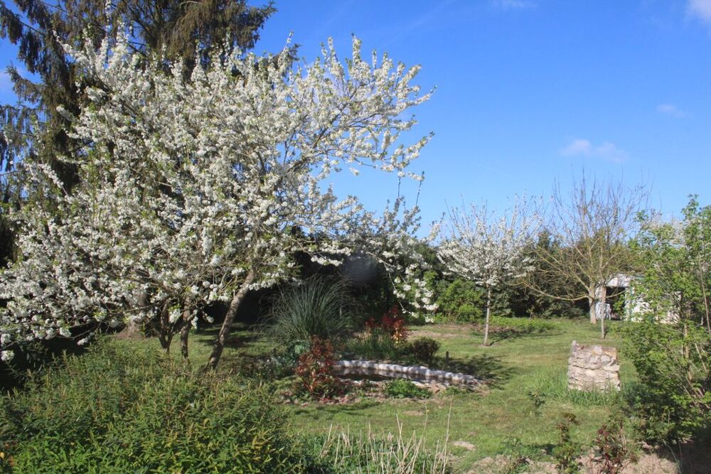 Location Maison Maison de 100m2 à louer sur Chenoise Chenoise