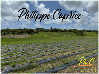  Terrain � vendre 2000 m�