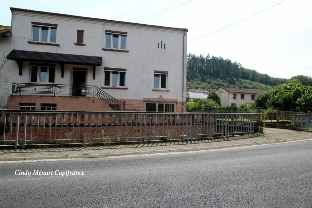 Maison à vendre 5 pièces DALEM (57), garage, sous sol et jardin