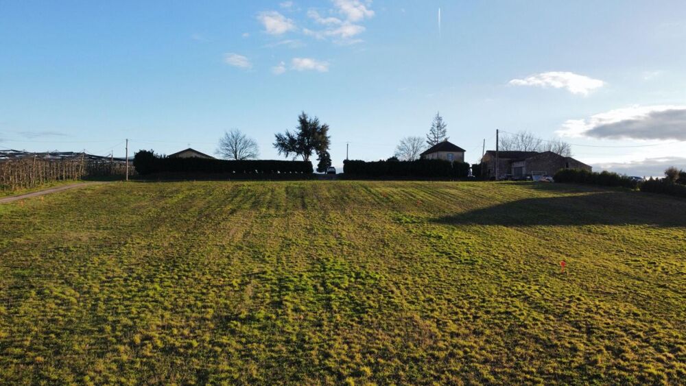 Vente Terrain Terrain Brax