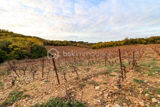  Terrain à vendre 41775 m²