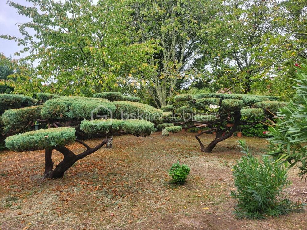 Vente Maison Un havre de paix en pierre, écrin de verdure et terrain constructible Tocane saint apre
