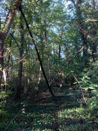  Terrain � vendre 2820 m�