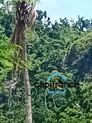  Terrain � vendre 73480 m�