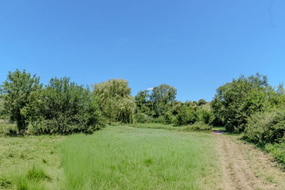 Longuesse - Maison familiale de charme sur 3 700 m² de terrain