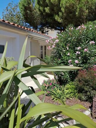  Immeuble � vendre 15 + pi�ces 256 m�