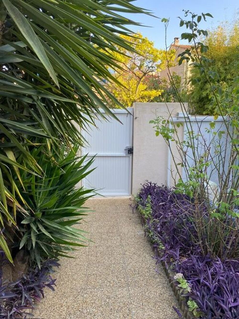 Location Appartement Studio de 17m2 à louer sur Montpellier Montpellier
