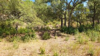  Terrain  vendre 2656 m