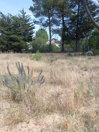  Terrain à vendre 597 m²