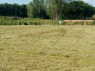  Terrain à vendre 723 m²