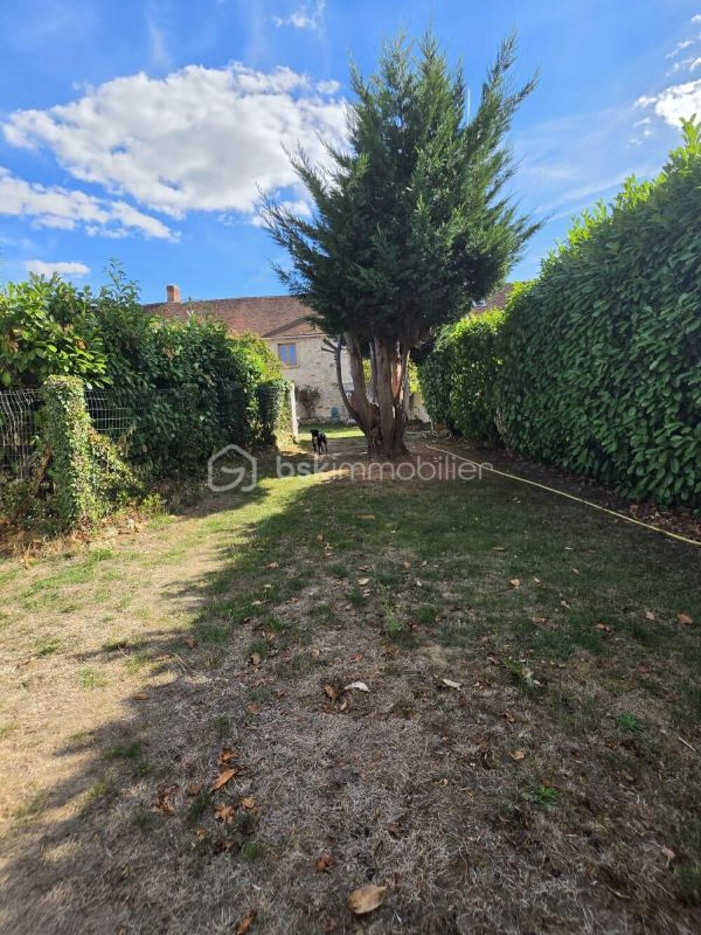 Vente Maison Maison briarde + studio indépendant Saint augustin