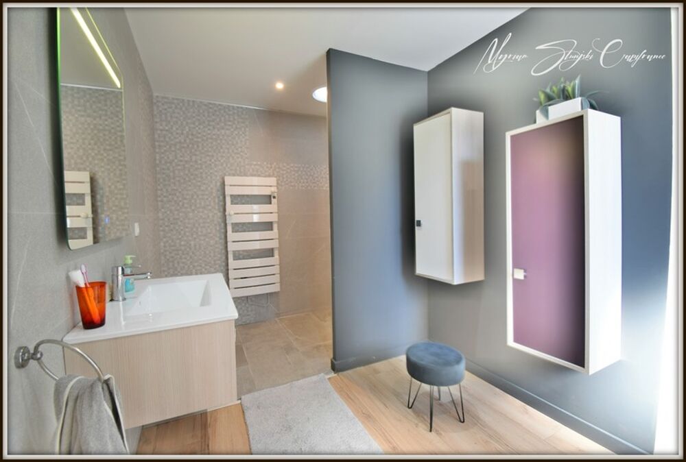 à vendre  Propriété/château Soustons (40140)