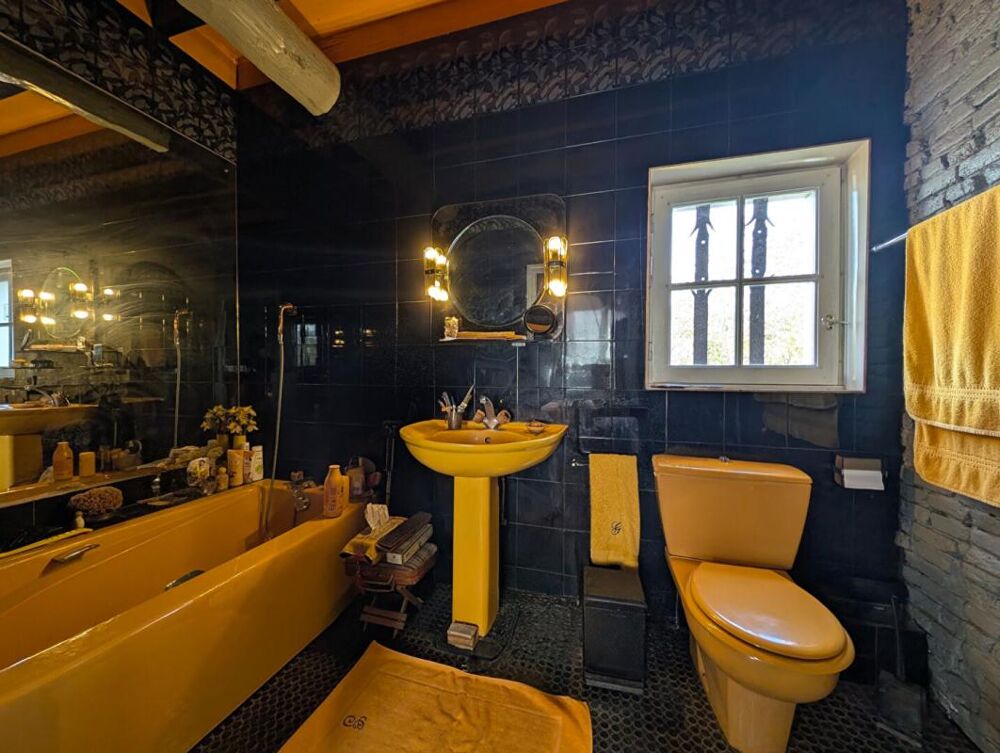 à vendre  Propriété/château Portet-sur-Garonne (31120)