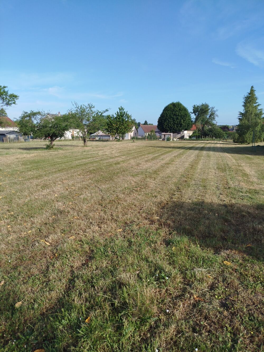 Vente Terrain Terrain de 981 m2 à vendre  SAMBIN (41) Sambin