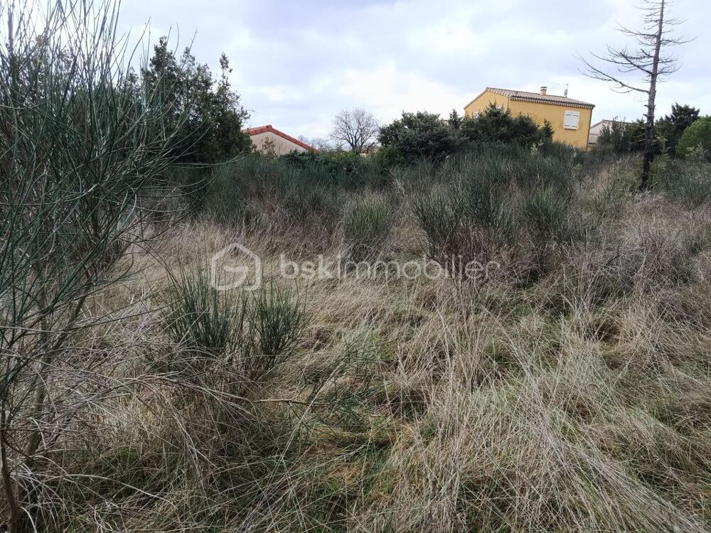 Vente Terrain grand terrain avec très belle vue sur la vallée du Rhône Saint montan