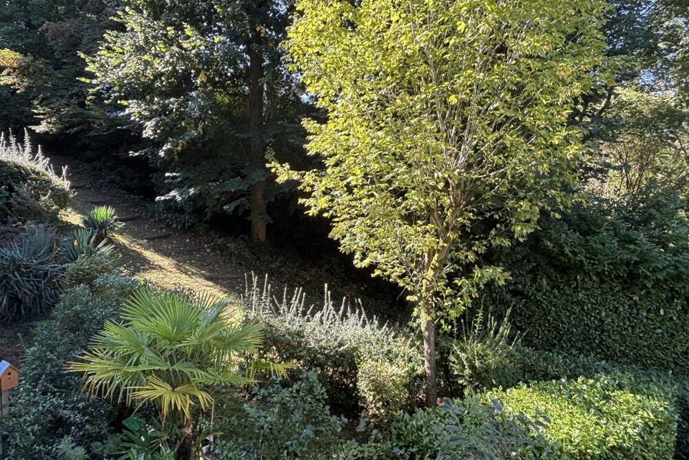 Vente Appartement Appartement Sevres