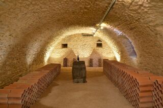  Propri�t�/ch�teau � vendre 10 pi�ces 435 m�