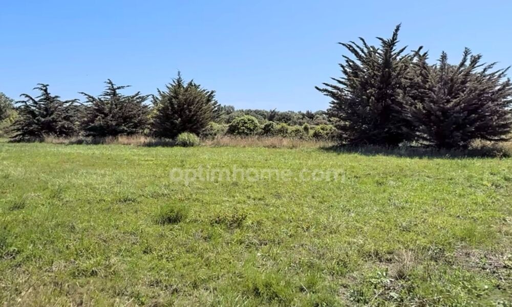 Vente Terrain Terrain à vendre  SAINT DENIS D'OLERON (17650) Saint denis d oleron