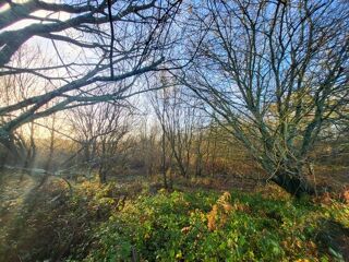  Terrain � vendre 62680 m�