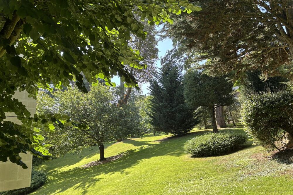 � vendre  Appartement Ville-d'Avray (92410)