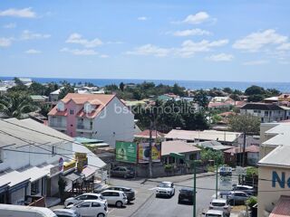  Appartement � vendre 1 pi�ce 21 m�